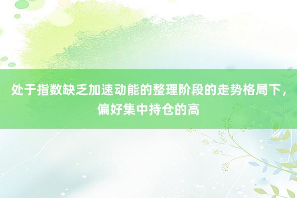 处于指数缺乏加速动能的整理阶段的走势格局下，偏好集中持仓的高