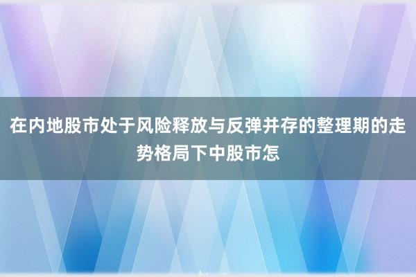 在内地股市处于风险释放与反弹并存的整理期的走势格局下中股市怎