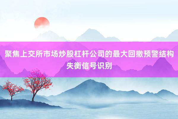 聚焦上交所市场炒股杠杆公司的最大回撤预警结构失衡信号识别