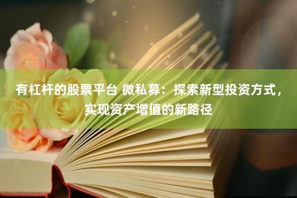 有杠杆的股票平台 微私募:探索新型投资方式,实现资产增值的新路径